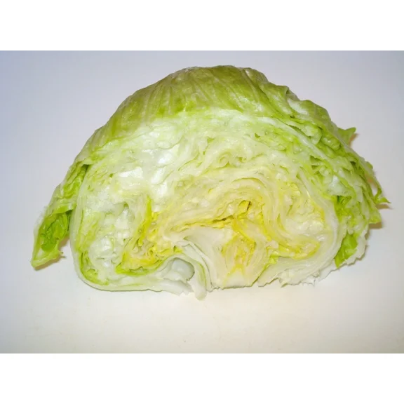 Iceberg Lettuce Seeds/ Full Sun/ Annual/ 112K Seeds 1/4 lb/  Zellajake Farm and Garden- B302