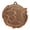 Bronze, variant on PinMart's Award Medals - 1st 2nd and 3rd Place!