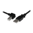 thumbnail image 1 of StarTech.com 2m USB 2.0 A to Left Angle B Cable Cord - 2 m USB Printer Cable - Left Angle USB B Cable - 1x USB A (M), 1x USB B (M) (USBAB2ML) - USB cable - USB Type B (M) to USB (M) - USB 2.0 - 6.6 ft - left-angled connector - black, 1 of 6