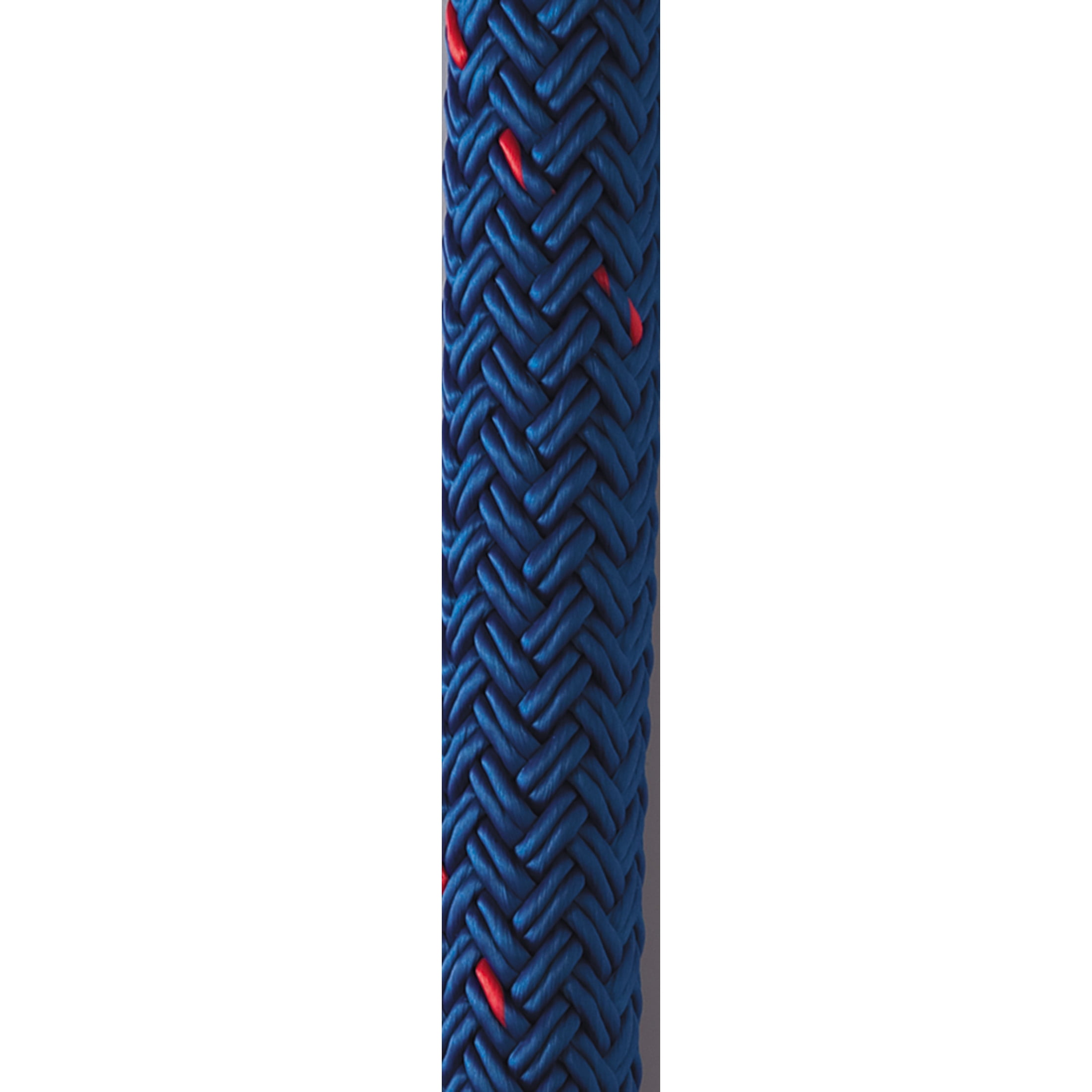 New England Ropes Premium Dock Line 1/2 X 25 Double Braided BLUE