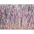 thumbnail image 2 of Ghanooni, Sarah  18x15 Black Ornate Wood Framed with Double Matting Museum Art Print Titled - In the Jungle, 2 of 4