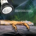 thumbnail image 3 of Lámpara De Calor Para Anfibios, Luz Para Tomar El Sol Para Reptiles, Ahorro De Energía, 3 W, Fácil Instalación, Espectro Completo Para Tanque De Reptiles Para Tortuga, 3 of 7