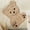 Brown Bear, variant on Spasilk Baby Cotton Terry Hooded Towel & Washcloth Bath Shower Set for Newborns and Infants, 5 Piece Set, Brown Bear