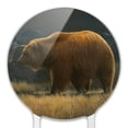 thumbnail image 3 of Acrylic Wandering Grizzly Bear Cake Topper Party Decoration for Wedding Anniversary Birthday Graduation, 3 of 7