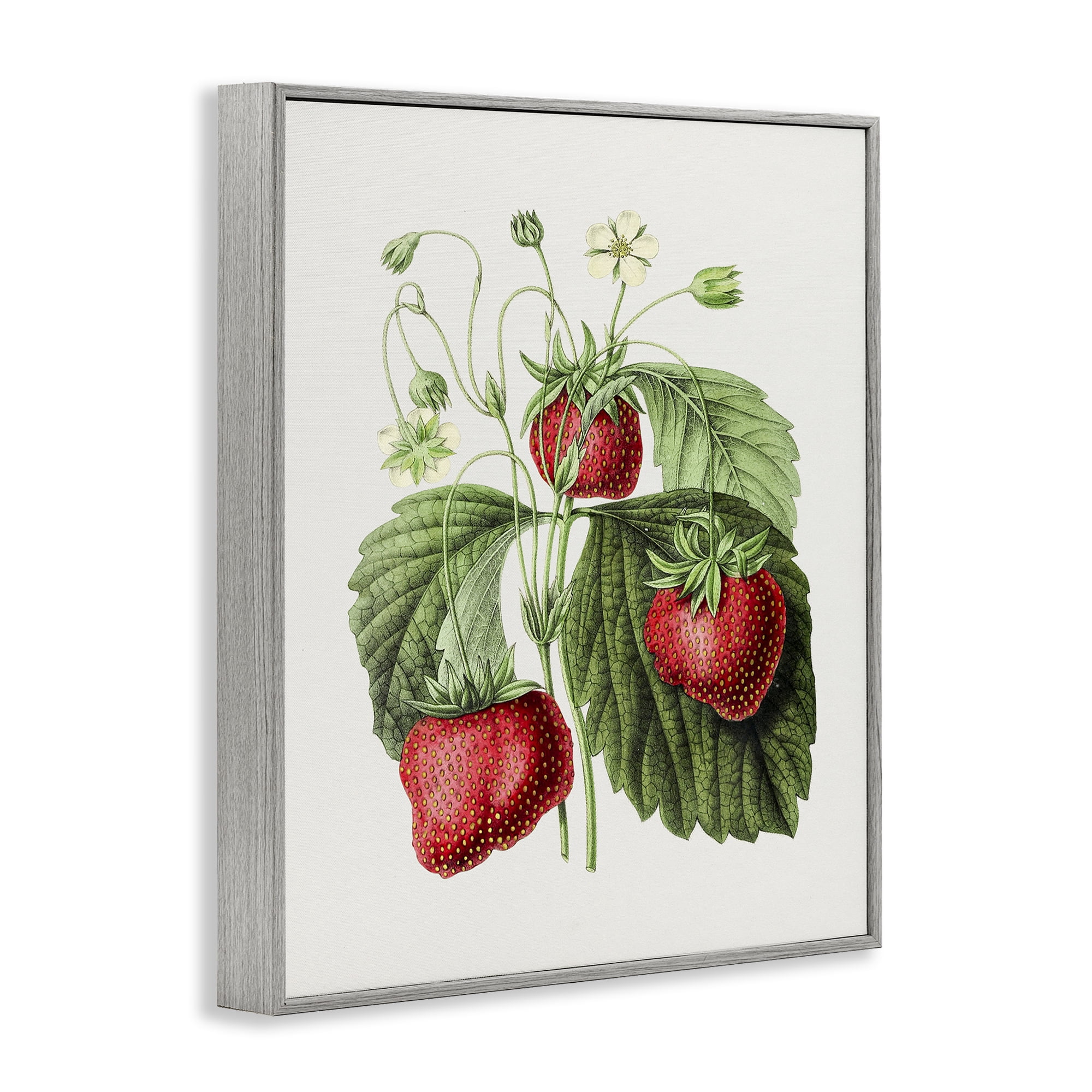 Stupell Industries Vintage Strawberries Study Food & Beverage Painting Gray Framed Art Print Wall Art, 11 x 14