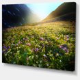 thumbnail image 2 of Meadow avec Fleurs Colorées - Art sur Toile Paysage Surdimensionné, 2 of 3