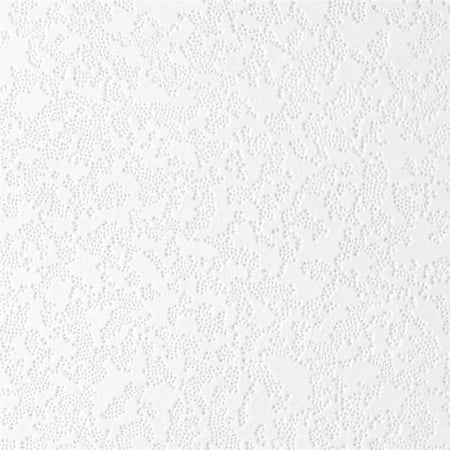 USG Interiors 824260 1 x 1 ft. Ceiling Tile Lace- pack of 32