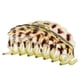 thumbnail image 1 of Accesorios de clip de mandíbula de garra de pelo de leopardo de resina de mujer de moda (amarillo # 4), 1 of 2
