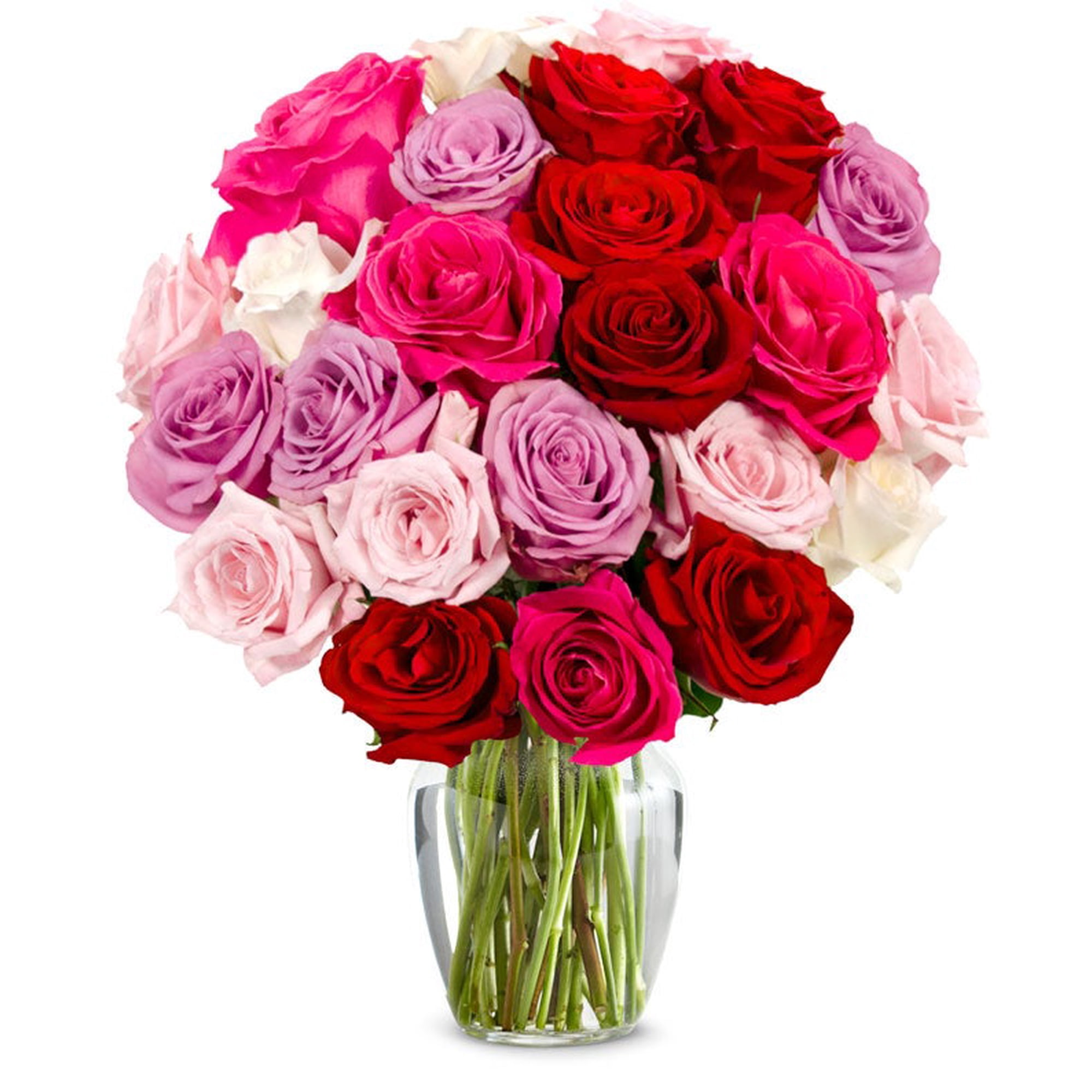 From You Flowers Two Dozen Romantic Roses