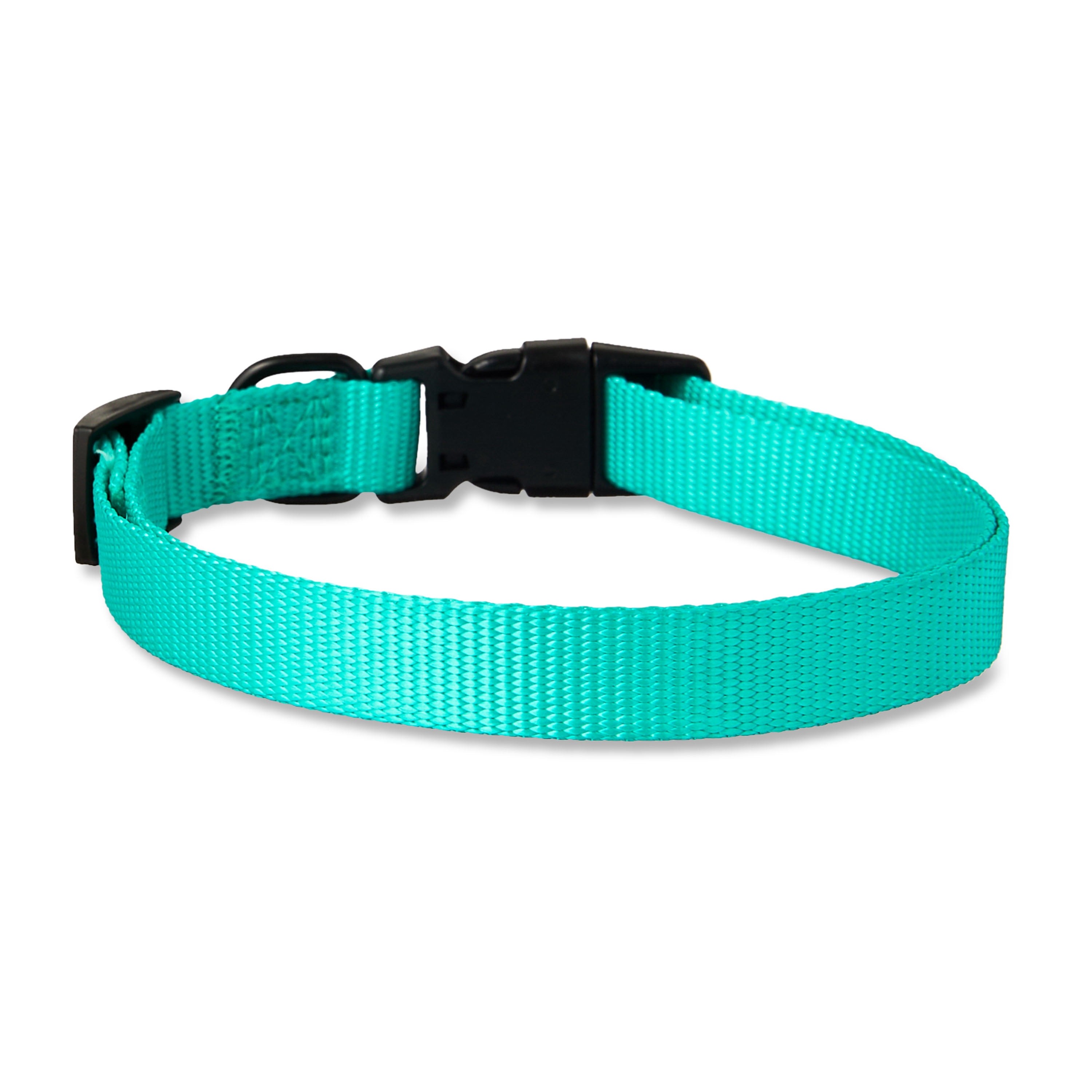 Vibrant Life Polyester Adjustable Dog Collar, Teal, M