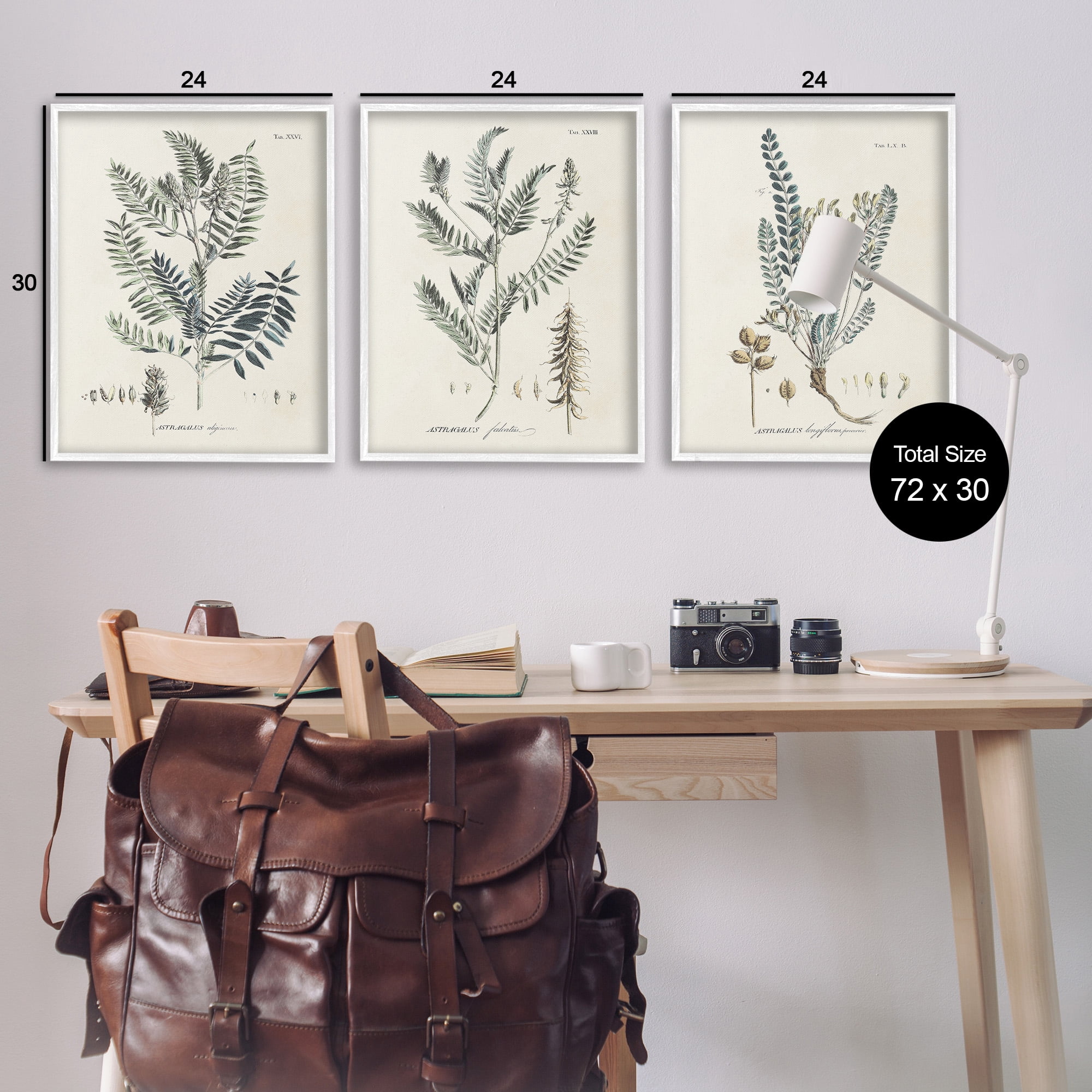 Stupell Industries Woodland Plant Studies Botanical & Floral Painting White Framed Art Print Wall Art, 24 x 30, Set of 3
