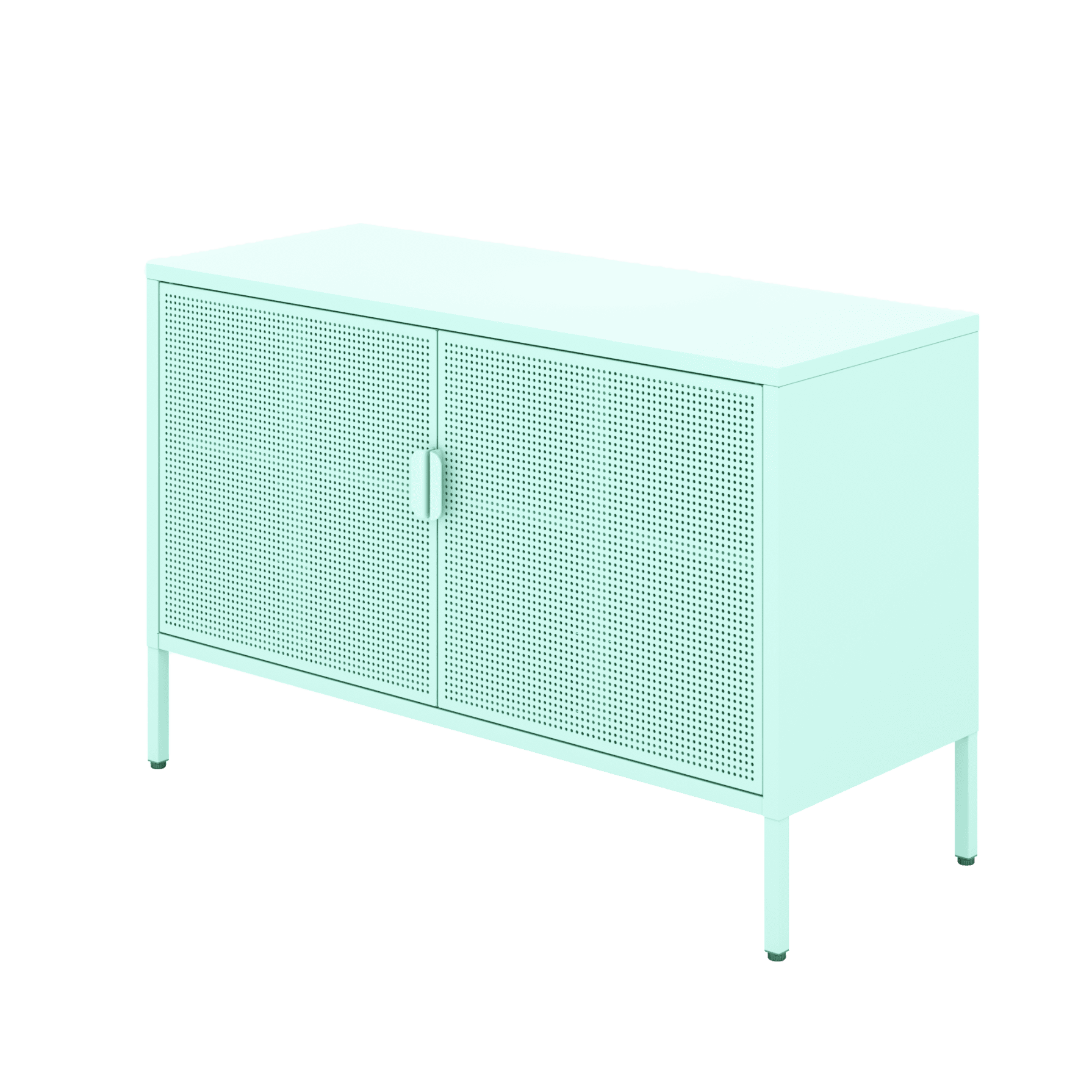 Metal Storage Organizer with 2 Doors, Adjustable Shelves Free