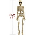 thumbnail image 2 of WLOELOEW Halloween Skeleton Decoration 40Cm Simulation Bone Prop For Holiday Party Scary Scene Decor Plastic Skeleton, 2 of 5