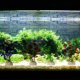 thumbnail image 1 of 10 Uds. Planta de agua simulación acuario pecera decoración ornamento, 1 of 9