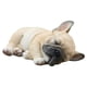 thumbnail image 1 of Bulldog Francés, Figura De Perro, Adorno De Resina Para Decoración Exterior O Interior Methold  HA043832-02, 1 of 6