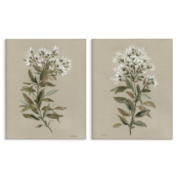 Stupell Industries Lovely White Floral Stem Plants & Flowers Painting Wrapped Canvas Art Print Wall Art, 16 x 20, Set of 2