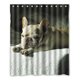 thumbnail image 1 of Cortina de Ducha Impermeable Divertido Perro ABPHQTO 150x180 cm, 1 of 2