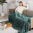 thumbnail image 6 of Heated Blankets   Blanket 100''X90'',  Soft Silky Flannel and Fluffy Sherpa Heating Blanket with 5 Heat Levels & 10 Hrs Timer, ETL  & Overheat Protection, Gifts for Grandma, 6 of 6