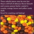 thumbnail image 2 of WinCrest Mini Reese's Pieces - 5 Lb Case, 2 of 5