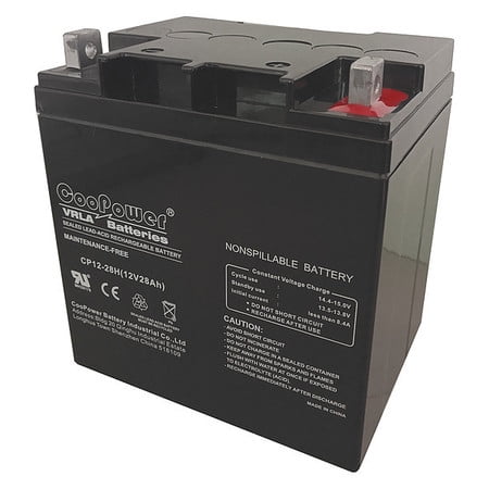 Sealed Lead Acid Battery,12V,28Ah,Bolt Terminal Type 5EFG1 - Walmart.com