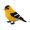 4, variant on Lynono Delicate Handcrafted Bead Weaving Beaded Bird Suitable For Ornaments AndG1ftFun Educational Weaving Beaded Kit With Various Realistic Bird Models To Create