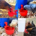 thumbnail image 4 of Bebedero automático para aves de corral, bebedero para pollo, pato, codorniz, color rojo, 6 uds., 4 of 5