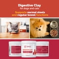 thumbnail image 4 of Nature's Pure Edge Natural Vomiting and Antidiarrheal Treatment for Cats & Dogs, 210 Grams, 4 of 9