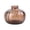 Brown, variant on Racsoh Brown Glass Pumpkin Vase, Transparent Hydroponic Flower Vessel, Thanksgiving Table Centerpiece, for Dried Fresh Flowers Home Decor (Brown)