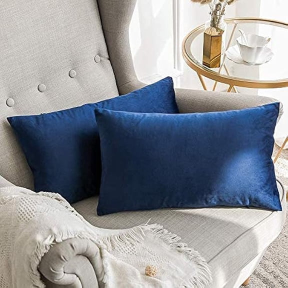 Eryueer Velvet Soft Decorative Square Throw Pillow Case Cushion Covers Pillowcases for Livingroom Sofa Bedroom with Invisible Zipper 16"x24" 40x60 cm 2 Piece Navy Blue