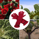 thumbnail image 4 of 1 par de guantes de jardinería para mujer, guantes de jardinería para podar el jardín y alimentar a la granja, 4 of 5