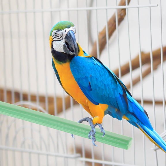 OATIPHO 10Pcs Green Plastic Bird Perch Stand Cage Accessories Sturdy Textured Surface for Pet Birds