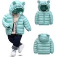 thumbnail image 1 of Niños Niños Niñas Invierno Ropa De Abrigo Con Capucha Chaqueta Acolchada Abrigo Prendas De Abrigo - Azul Lago 90cm-dontodent Kuyhfg Sin marca, 1 of 4