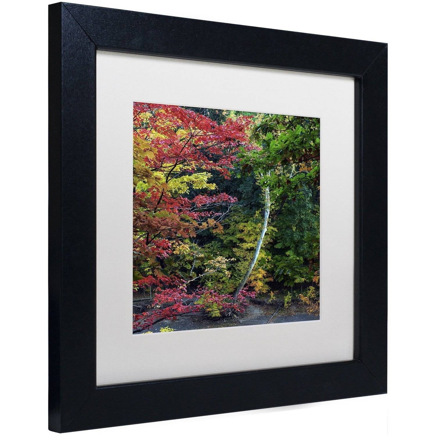 Trademark Fine Art "All the Colors of October in Ohio" Canvas Art by Kurt Shaffer, White Matte, Black Frame