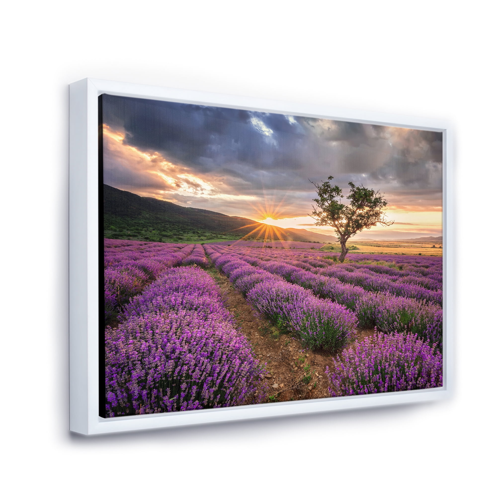 Designart 'Dramatic Clouds and Sunrise Over Lavender Field VIII' Farmhouse Framed Canvas Wall Art Print