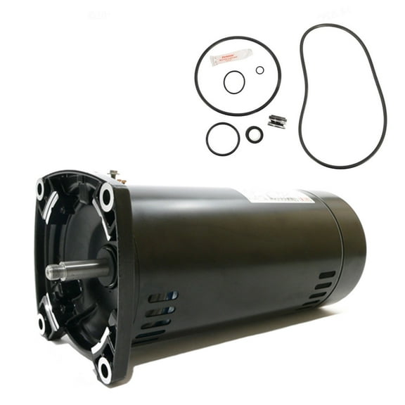 Puri Tech Sta-Rite Max-E-Pro 1HP P6R6E-206L Replacement Motor Kit AO Smith SQ1102 w/GO-KIT-79