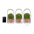 thumbnail image 3 of Pure Garden 9.5" Faux Boxwood– 3 Matching Realistic Topiary Arrangements in Decorative Metal Baskets (Set of 3), 3 of 5