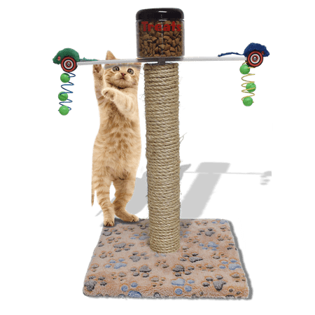 Exercise Toy Cat Food Dispenser Interactive Activity ...