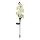 thumbnail image 1 of Paquete de 2 luces de orquídeas con energía solar, para decoración de caminos de césped, patio, villa, 1 of 5