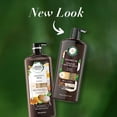 thumbnail image 3 of Herbal Essences Coconut Oil Hydrating Shampoo, 20.2 fl oz, 3 of 11
