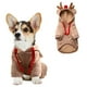 thumbnail image 1 of Disfraz de perro de felpa coral, vestido para mascota con ciervo de dibujos animados, 1 of 7
