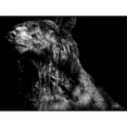 thumbnail image 3 of Chapman, Julie T. 18x15 Black Modern Framed Museum Art Print Titled - Ursa Major, 3 of 5