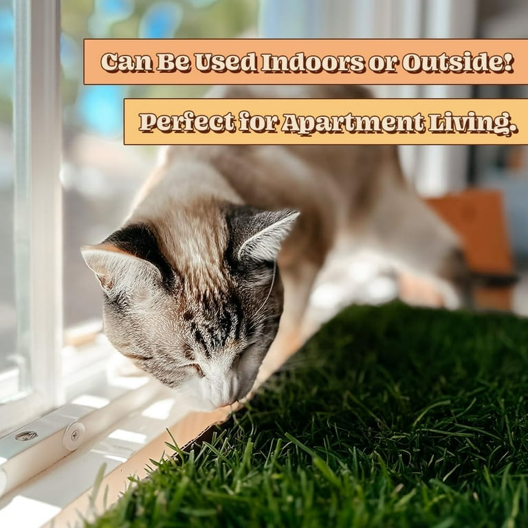 Cat Perch Window Real Grass Cat Window Perch Indoor Lounge Bed