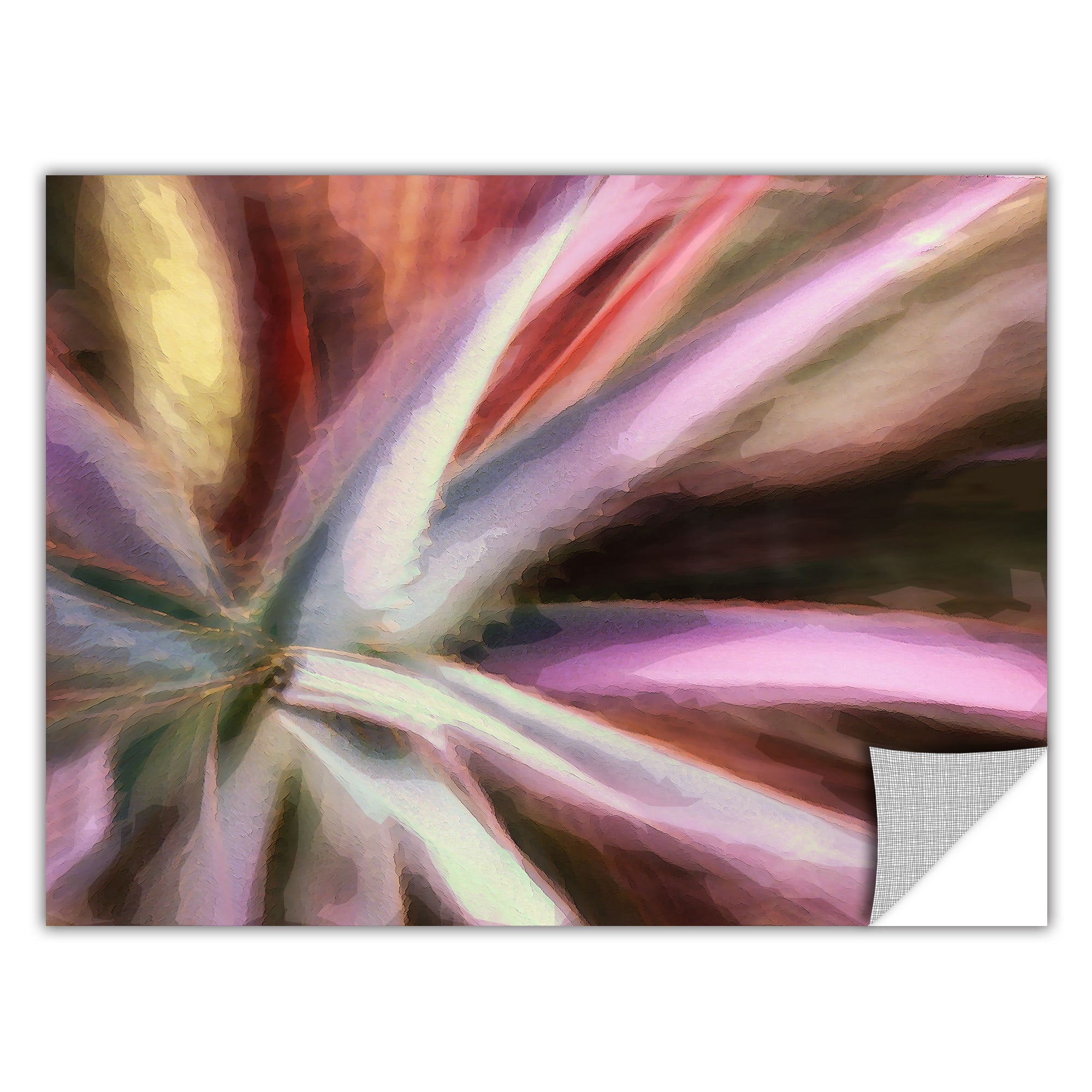 Dean Uhlinger Arco Suculenta, Art Appeelz Removable Wall Art Graphic