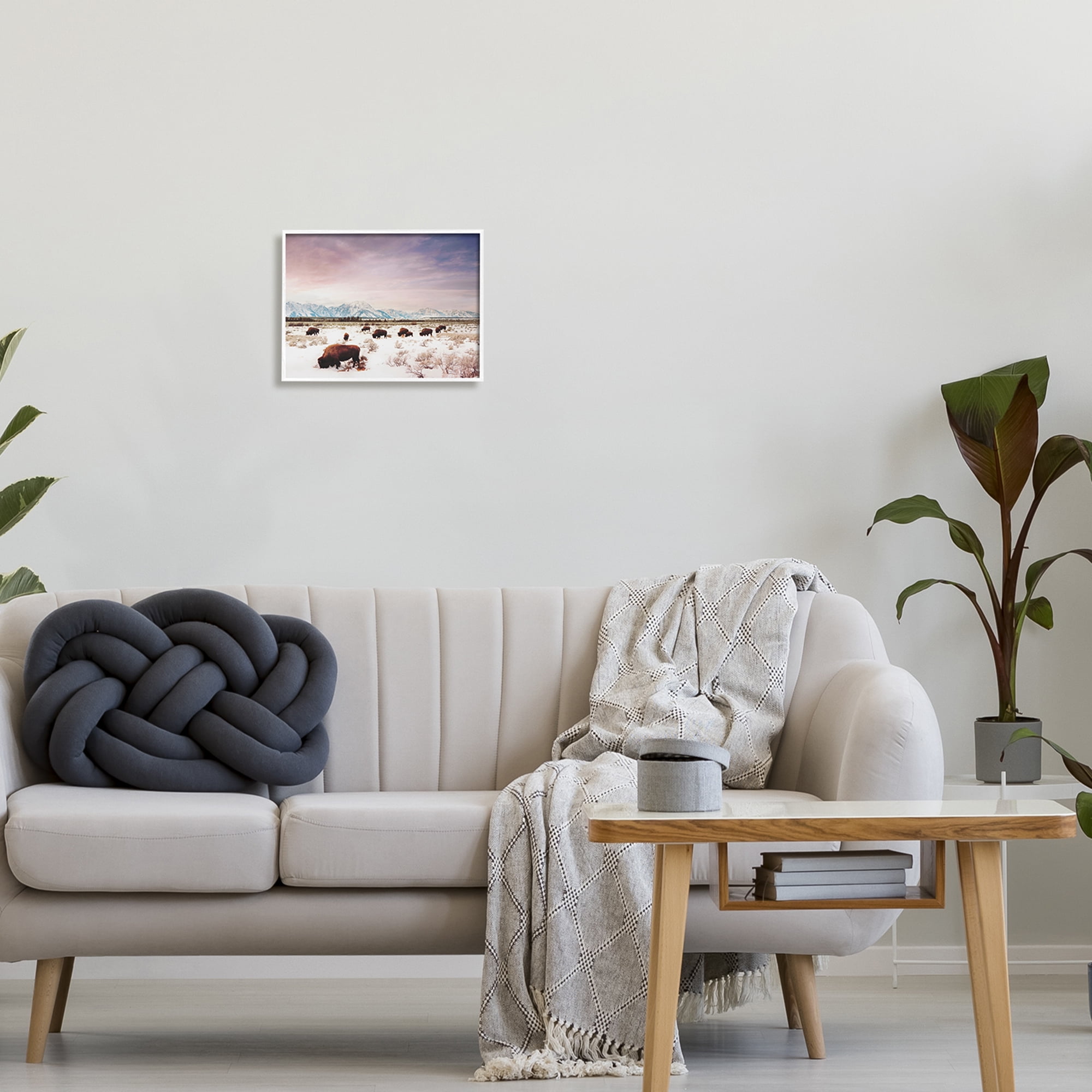 Stupell Industries Bison Desert Mountains Scene Animals & Insects Photography White Framed Art Print Wall Art, 14 x 11