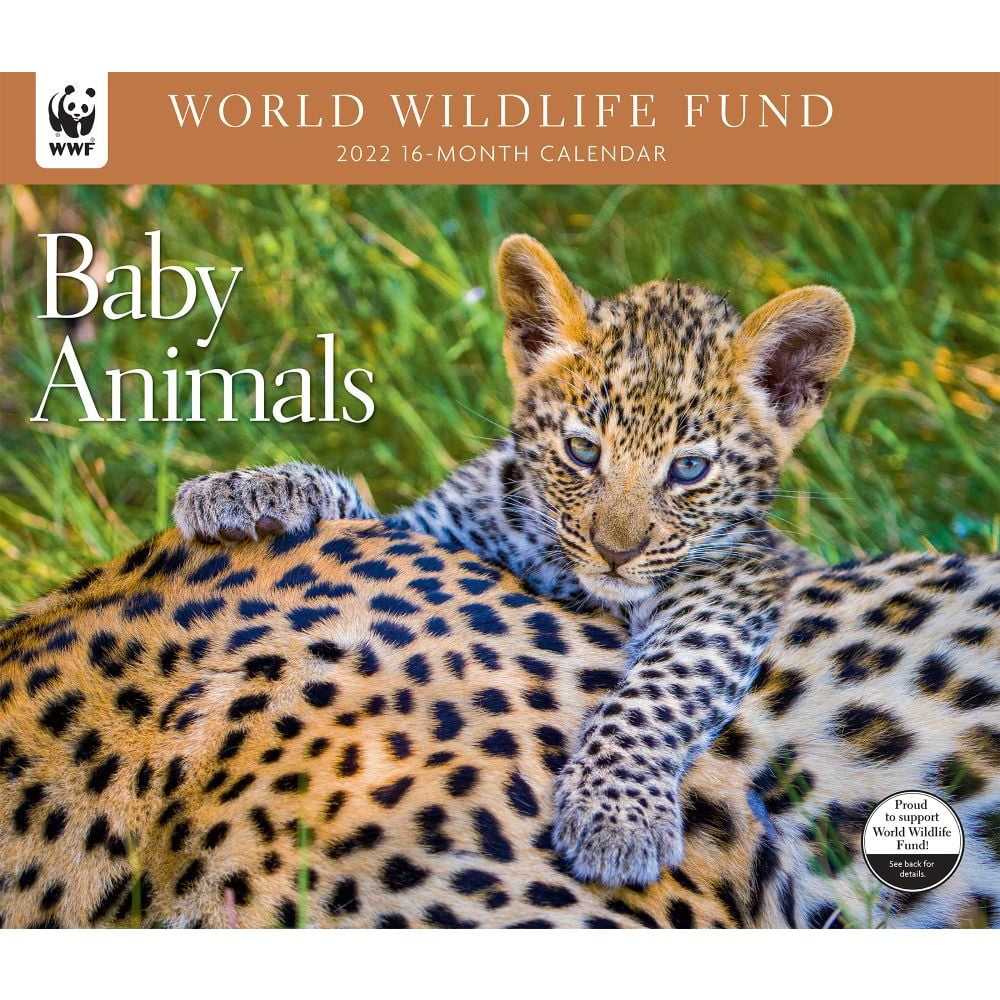 Calendrier 2023 Wwf Baby Animals Wwf 2022 Wall Calendar - Walmart.com