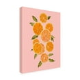 thumbnail image 2 of Emma Caroline 'Spring Citrus II' Canvas Art, 2 of 3