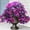 Purple&fuchsia, variant on KUNPENG 4 Pack Artificial Bougainvillea Flowers Outdoor UV Resistant, Fake Silk Trailing Vines Realistic Faux Hanging Plants for Front Door Porch Patio Garden Yard Window Box Planter Urn Decor(Red)