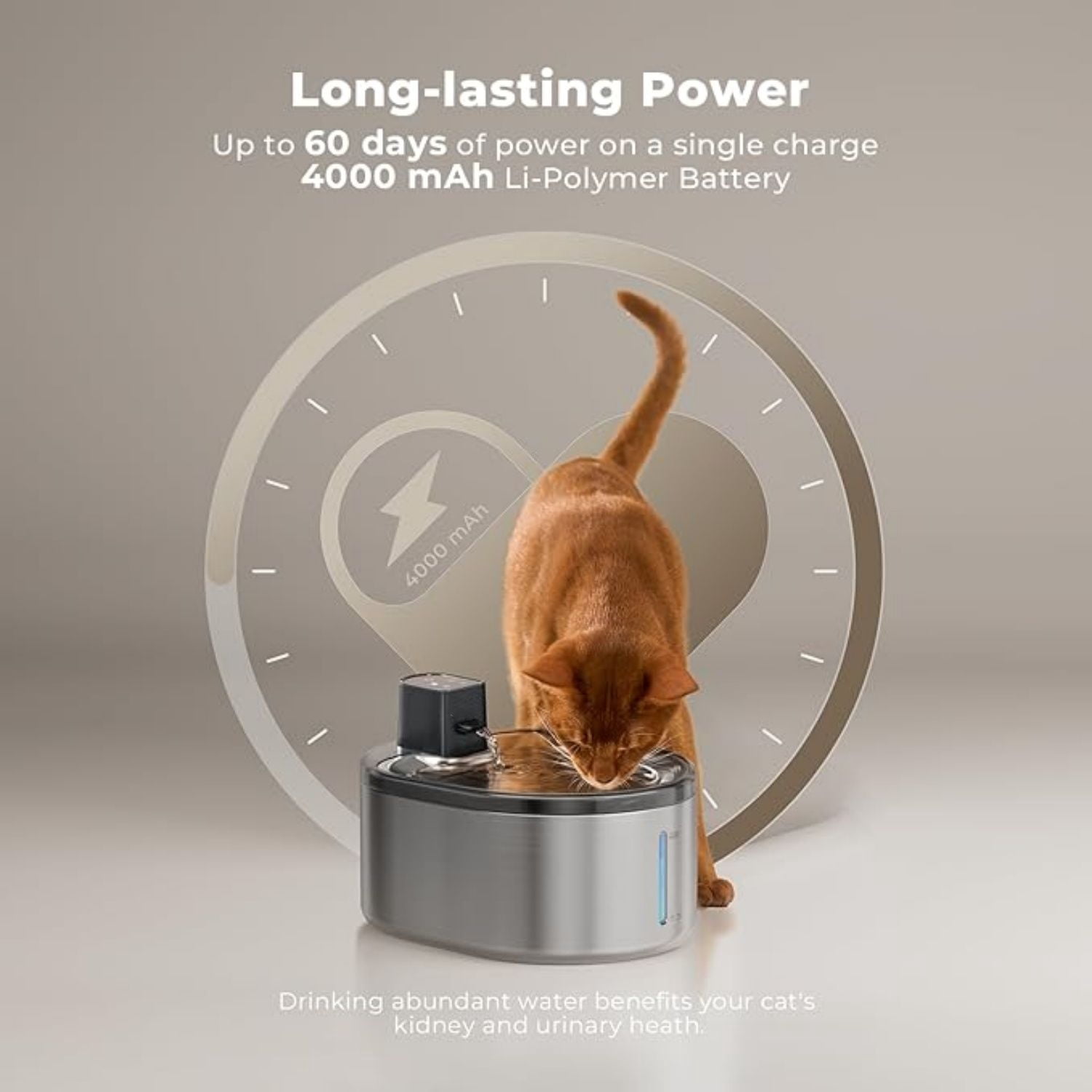 152oz/4.5L Cat Fountain Battery Operated, Cordless Pet Water Fountain for Cats & Dogs with Motion Sensor, Ultra Quiet Pump, Multi-Filtration