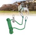 thumbnail image 4 of Dog Leash, Durable Dog Training Leash Reliable Reflective Long  for Camping for Walking Blue,Red,Green, 4 of 7