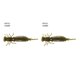 thumbnail image 2 of Wosthever 10 Uds. De cebos de insectos de simulación, señuelos de pesca portátiles, cebos de pesca suaves reutilizables, cebos de plástico para Jigging Type13 NO13 Wosthever CBP149472, 2 of 6